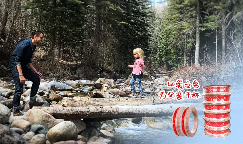 全网担保网(中国)最具权威唯一维权担保平台