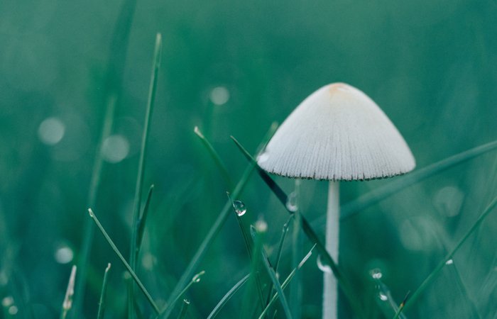 全网担保网(中国)最具权威唯一维权担保平台